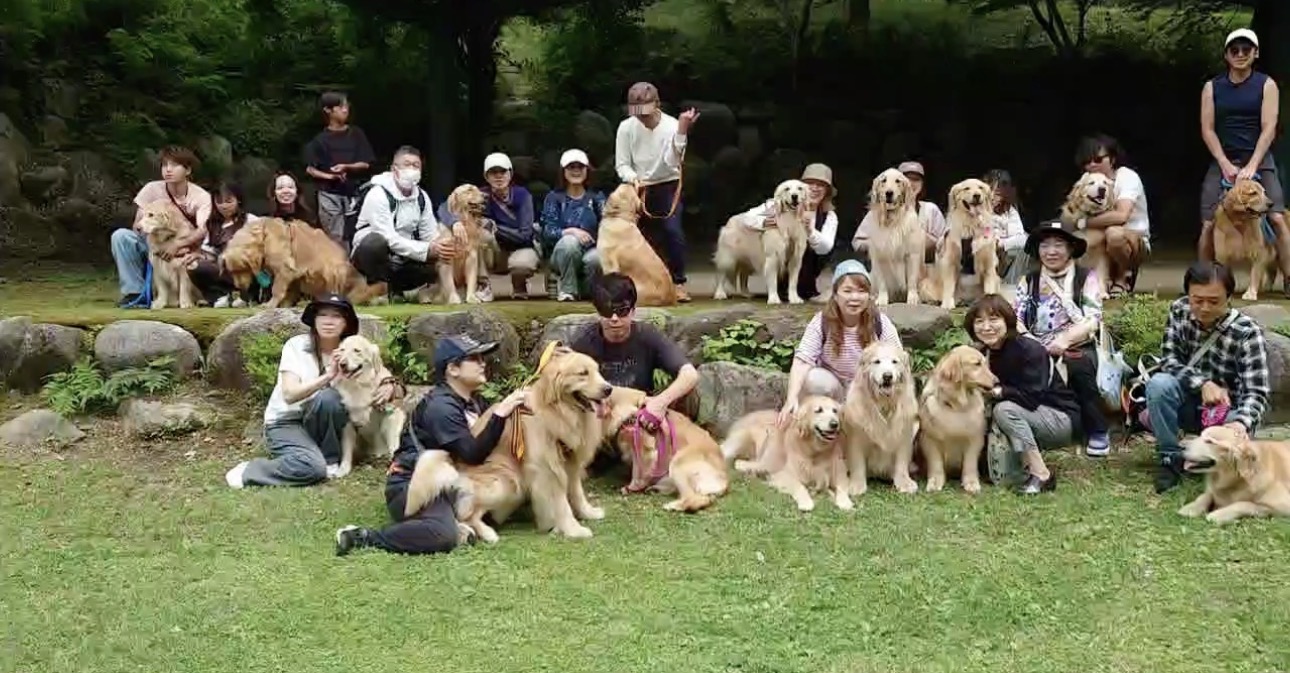 芝生に集まったゴールデンレトリバーと飼い主たち。これまでのワンフェスの開催風景。